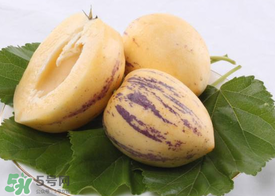 甜瓜可以蒸著吃嗎？甜瓜蒸熟了可以吃嗎？