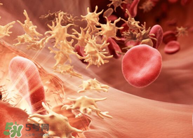 尸血會感染艾滋嗎？尸血可以治療血友病嗎？