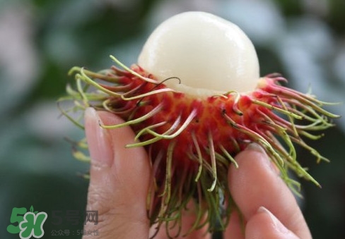 紅毛丹什么時候上市？紅毛丹什么季節(jié)有？