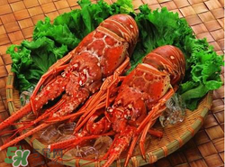 什么時候釣龍蝦最好？龍蝦幾月份能釣？