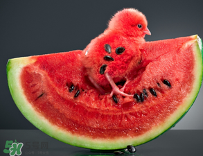 5月份的西瓜能吃嗎？五月份的西瓜能吃嗎？