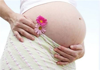 人造子宮初現(xiàn)曙光，未來將是男媽媽的天下？