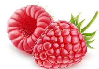 山莓哪里有賣？山莓哪里有人種植