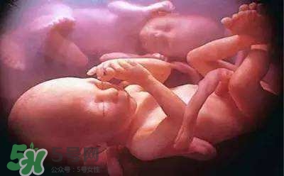 胎兒在媽媽肚子里都會干啥？胎兒的神奇世界