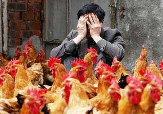 五月份還有禽流感嗎？禽流感幾月份結(jié)束？