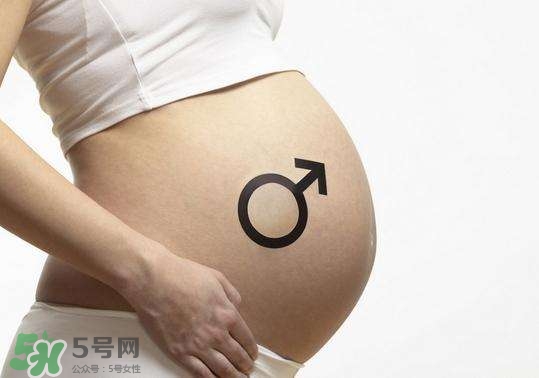 怎么問(wèn)醫(yī)生胎兒性別？醫(yī)生會(huì)告訴胎兒性別嗎？