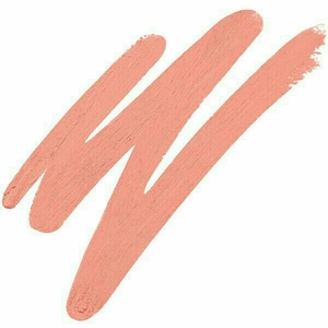 西柚色口紅有哪些？西柚色口紅推薦