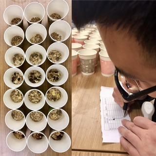 麥片什么牌子好？進口麥片哪個牌子好吃