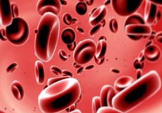 尸血會(huì)感染艾滋嗎？尸血可以治療血友病嗎？