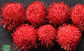 紅毛丹什么時候上市？紅毛丹什么季節(jié)有？