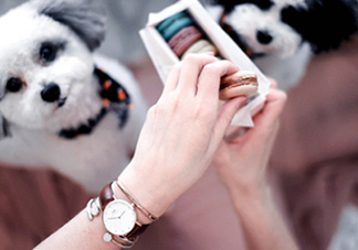 dw手表香港專柜在哪里？dw手表香港多少錢？