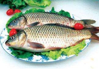 ?五月份吃什么魚？5月份吃什么魚？