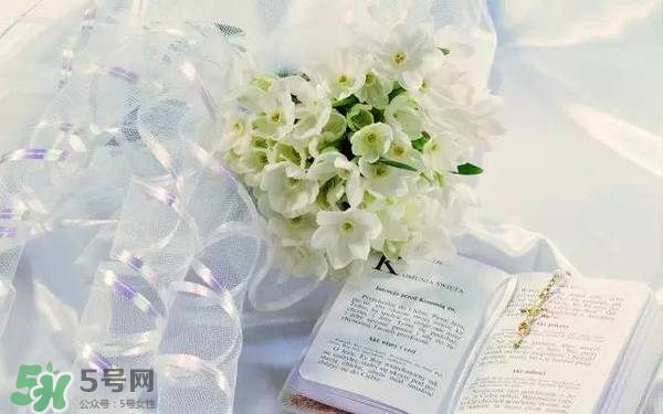 jill stuart湛藍(lán)祝福限定系列有哪些？jill stuart湛藍(lán)限定多少錢？