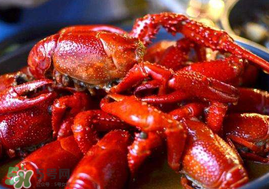 小龍蝦什么時(shí)候最好釣？什么時(shí)候可以釣小龍蝦？