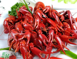 野生小龍蝦能吃嗎？野生小龍蝦吃了會中毒嗎？