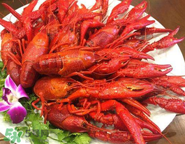 野生小龍蝦能吃嗎？野生小龍蝦吃了會中毒嗎？