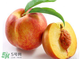 桃子可以放冰箱嗎？桃子能放冰箱保鮮嗎？