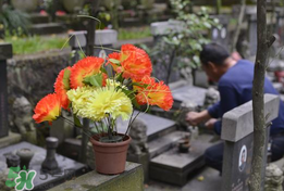 母親節(jié)能掃墓嗎？母親節(jié)給母親上墳合適嗎？