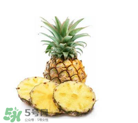 孕婦能吃菠蘿嗎？菠蘿孕婦能不能吃？