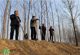 五月份能種樹嗎？五月份種樹能活嗎？