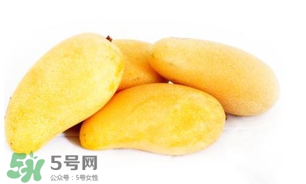 吃芒果上火嗎？吃芒果上火還是降火