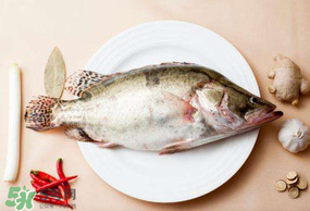 ?五月份吃什么魚(yú)？5月份吃什么魚(yú)？