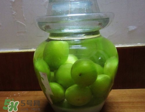 三華李可以泡酒嗎？三華李可以多吃嗎？