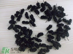 桑葚干怎么制作?桑葚干的制作方法