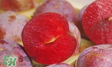 三華李幾月成熟？三華李有什么作用