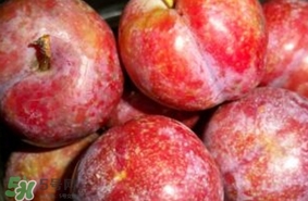 三華李幾月成熟？三華李有什么作用