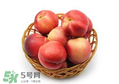 三華李可以泡酒嗎？三華李可以多吃嗎？