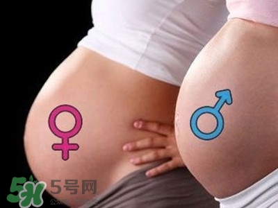 B超單數(shù)據(jù)怎么看男女？B超單看男女準(zhǔn)嗎？