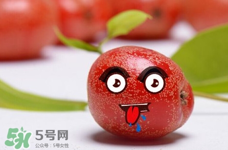 羊奶子有什么藥用價(jià)值？羊奶子有什么功效