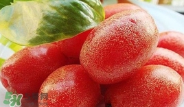 羊奶果怎么吃？羊奶果怎么種