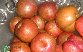 三華李可以泡酒嗎？三華李可以多吃嗎？