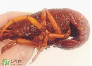 周黑鴨小龍蝦好吃嗎？周黑鴨小龍蝦試吃評測