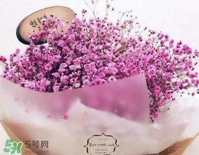 母親節(jié)可以送滿天星嗎？母親節(jié)能送滿天星嗎？