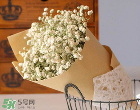 母親節(jié)可以送滿天星嗎？母親節(jié)能送滿天星嗎？