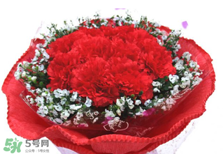 康乃馨多少錢一束2017？康乃馨多少錢一朵2017？