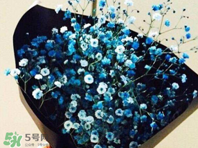 滿天星多少錢一束2017？滿天星多少錢一支2017？