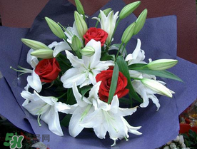 百合花多少錢一支2017？百合花多少錢一束2017？