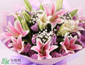 百合花多少錢一支2017？百合花多少錢一束2017？