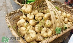 土瓜怎么做好吃？土瓜的做法大全