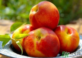 油桃小孩可以吃嗎？寶寶能不能吃油桃？