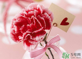 康乃馨可以放臥室嗎？康乃馨能放在臥室嗎？