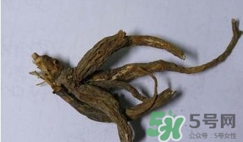 土瓜根是什么？土瓜根粉哪里有賣的？