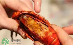 周黑鴨小龍蝦怎么吃？周黑鴨小龍蝦怎么吃圖解？