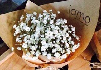 滿天星多少錢一束2017？滿天星多少錢一支2017？