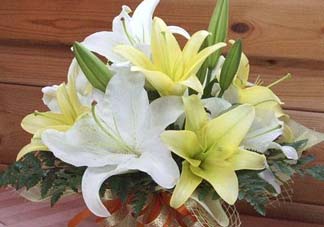 百合花多少錢(qián)一支2017？百合花多少錢(qián)一束2017？