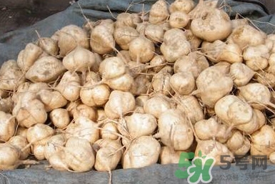 土瓜是涼性還是熱性？土瓜是寒性還是熱性？